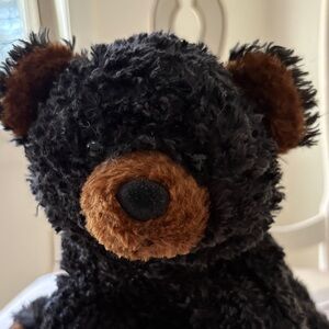 Black and Brown Plush Teddy Bear